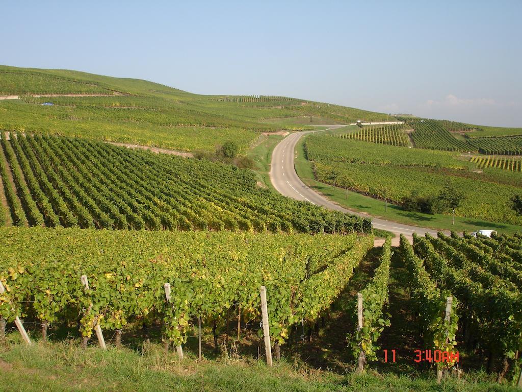 Gite Du Vigneron Turckheim Exterior photo